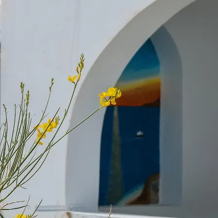 Cozy Betelgeuse * Agkidia